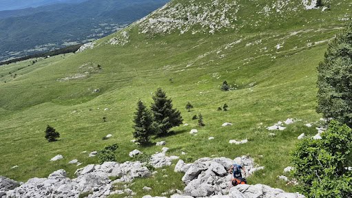Razgled na zeleno gorsko pokrajino s skalami in drevesi.